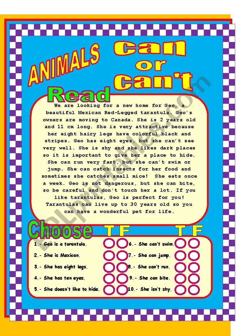 Animals can or cant! worksheet