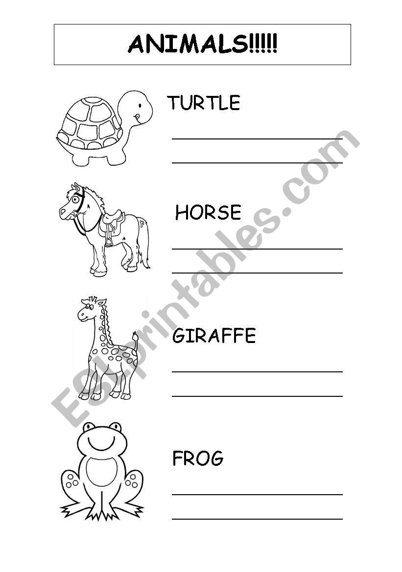 Animals worksheet