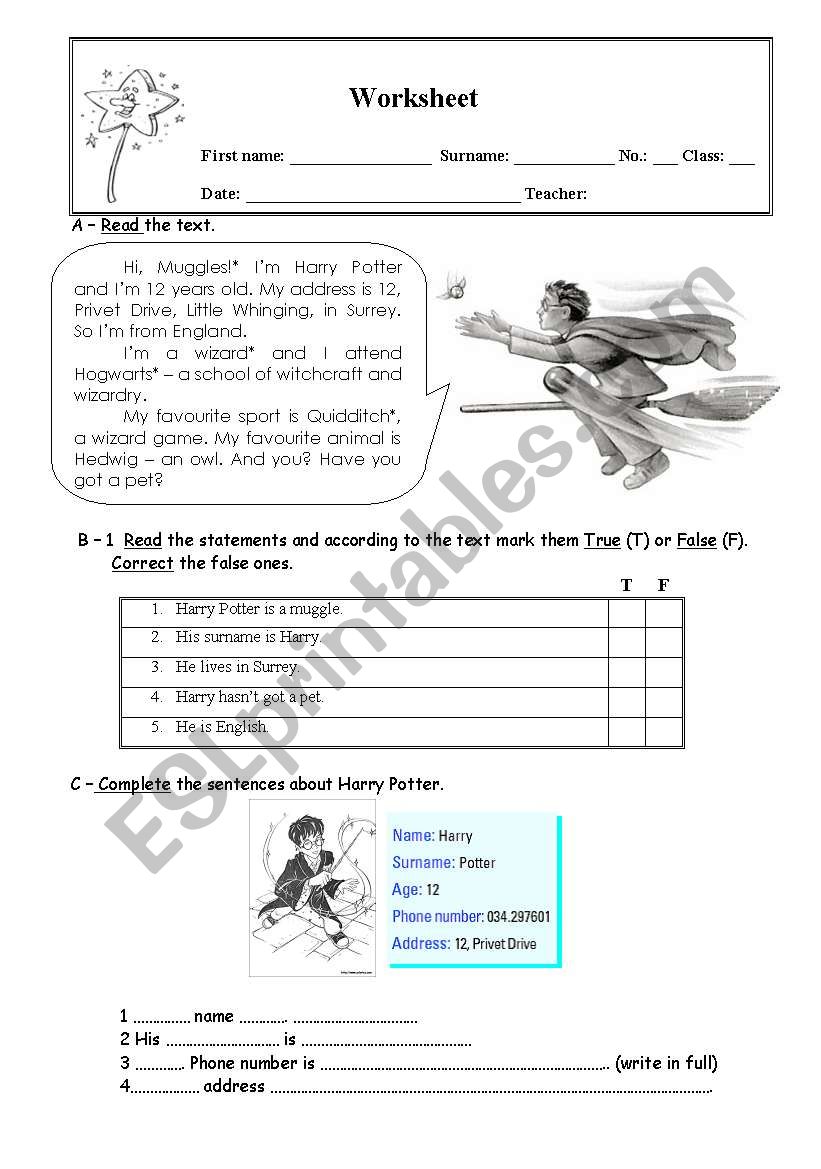 Harry Potter worksheet