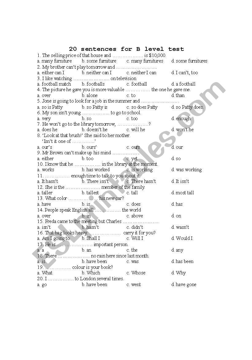20 multiple sentences for Test level B