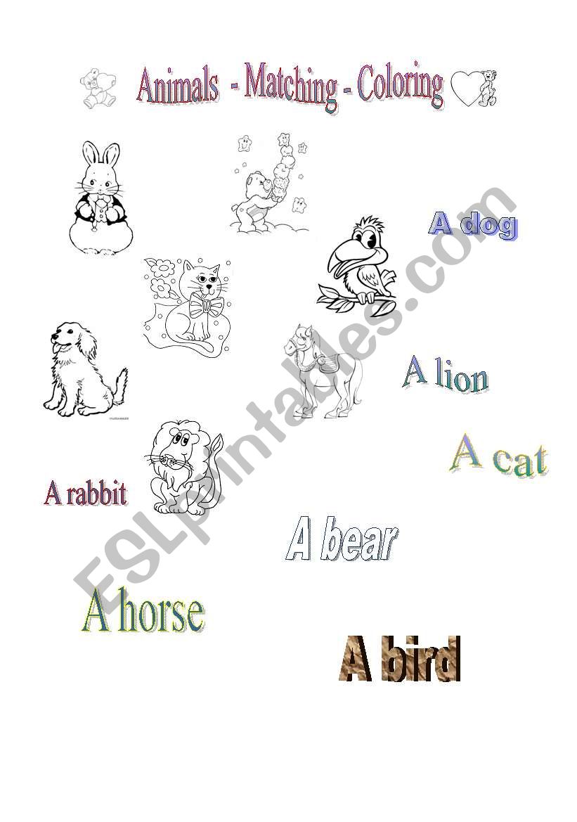 Animals worksheet