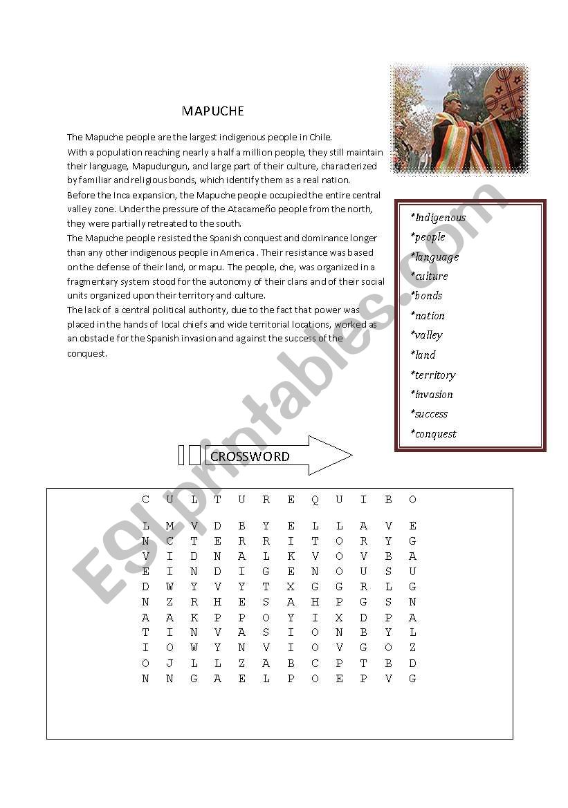 Mapuche people worksheet