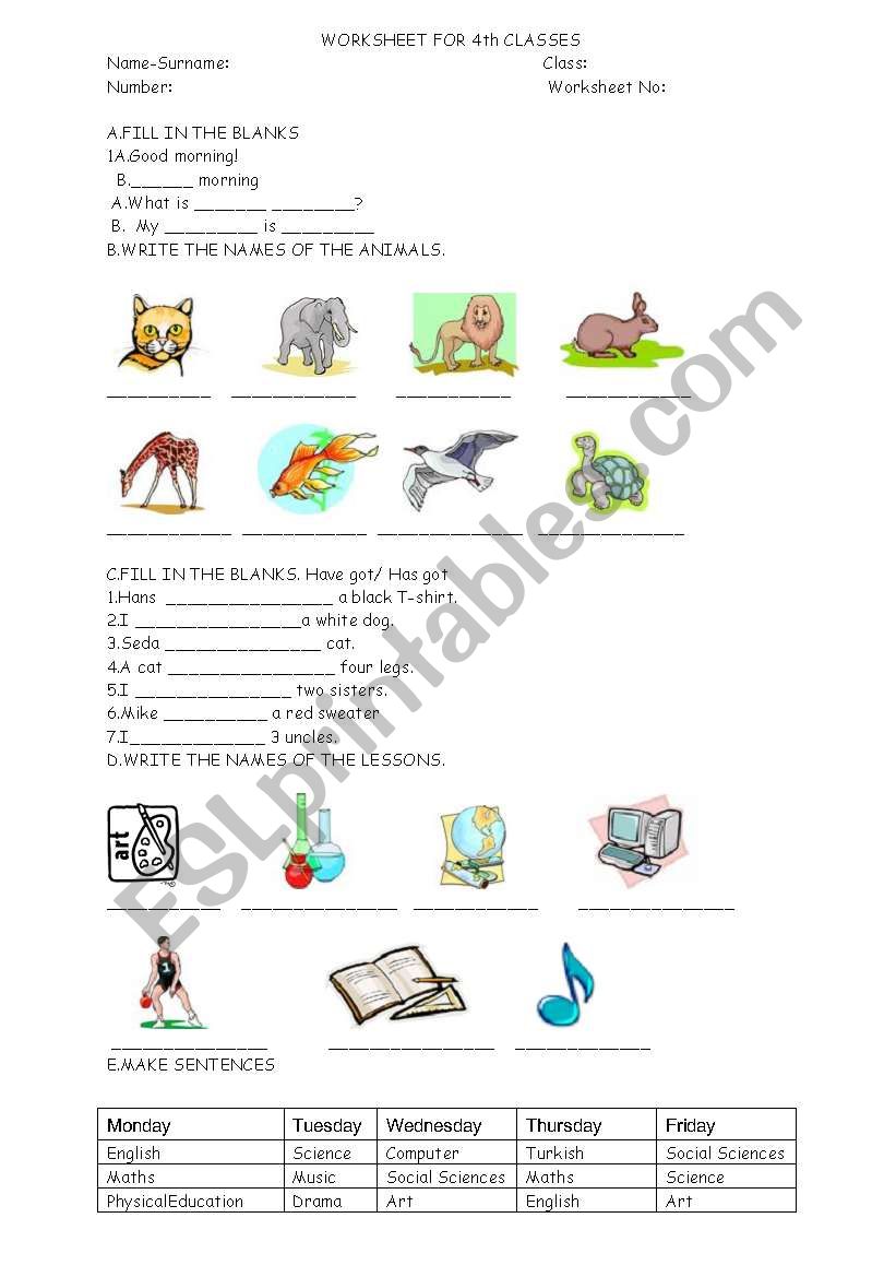 4th grades general revision worksheet