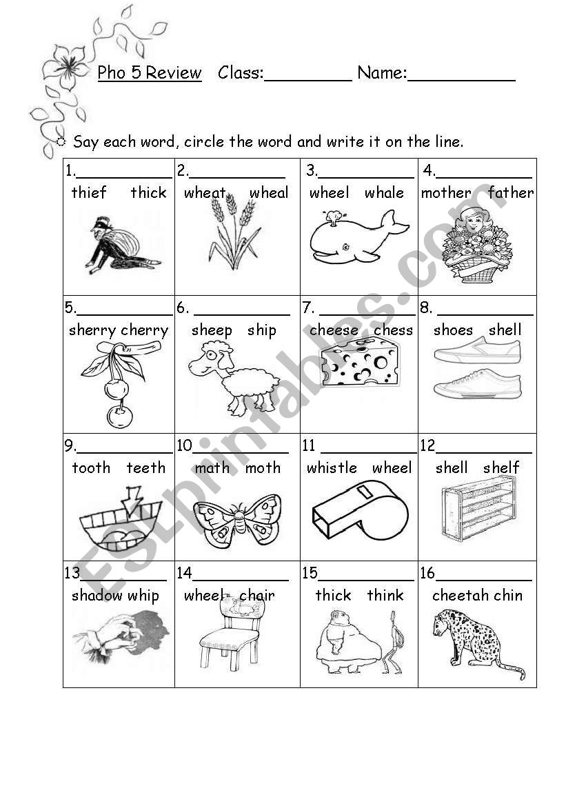 phonics worksheet