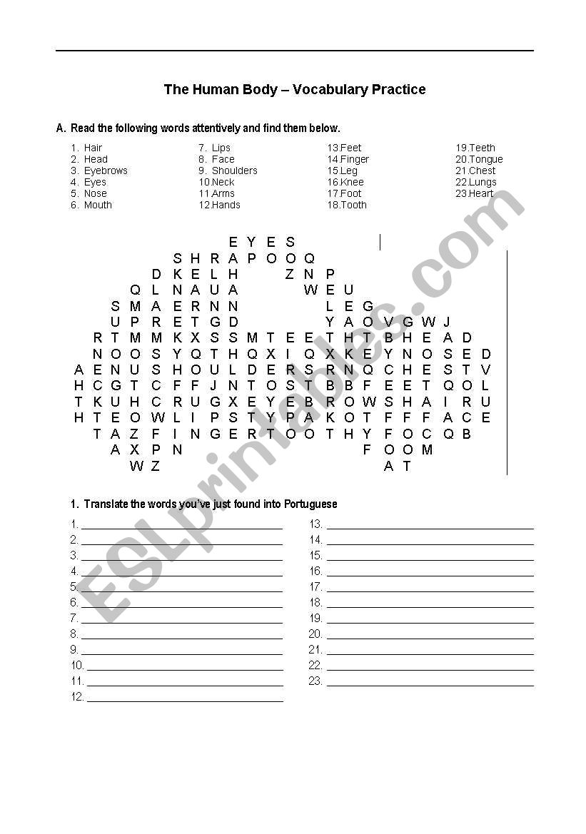 Human Body wordsearch worksheet