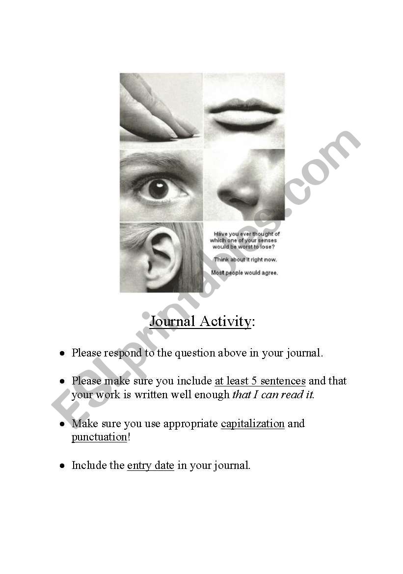 5 Senses Writing Activity worksheet