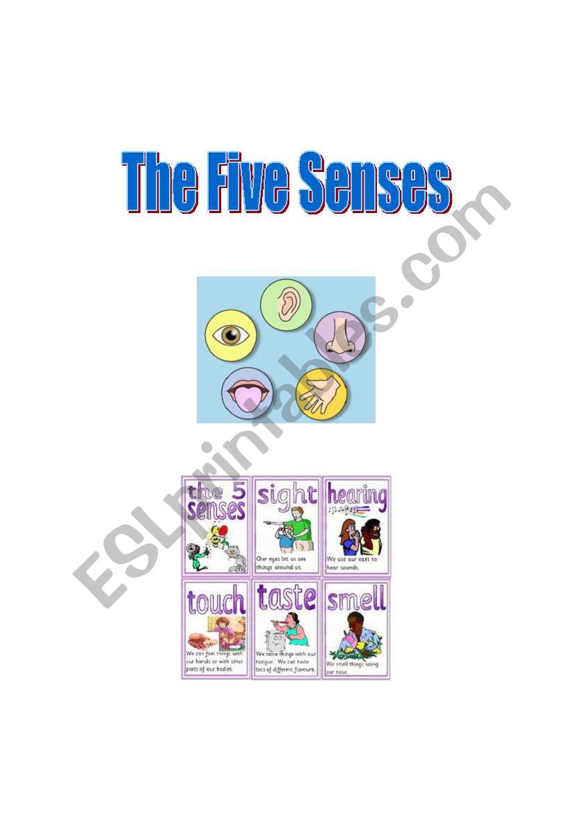 Five Senses worksheet