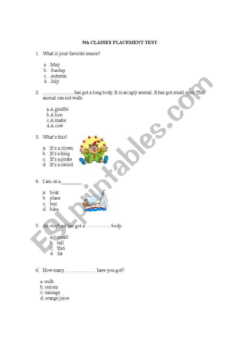 5 th grade placement test worksheet