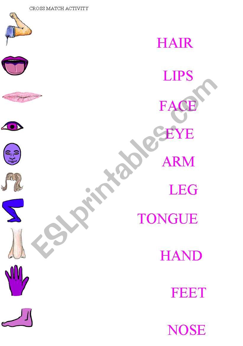 BODY PARTS worksheet