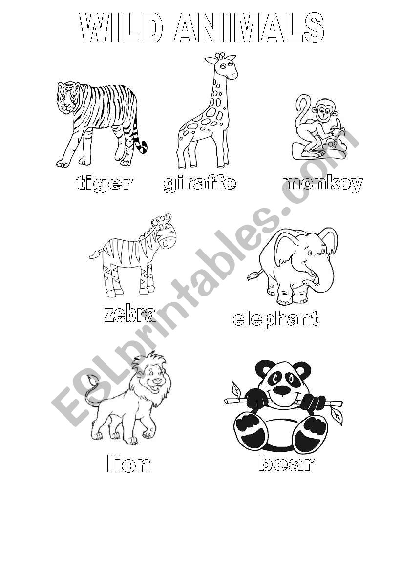 WILD ANIMALS worksheet