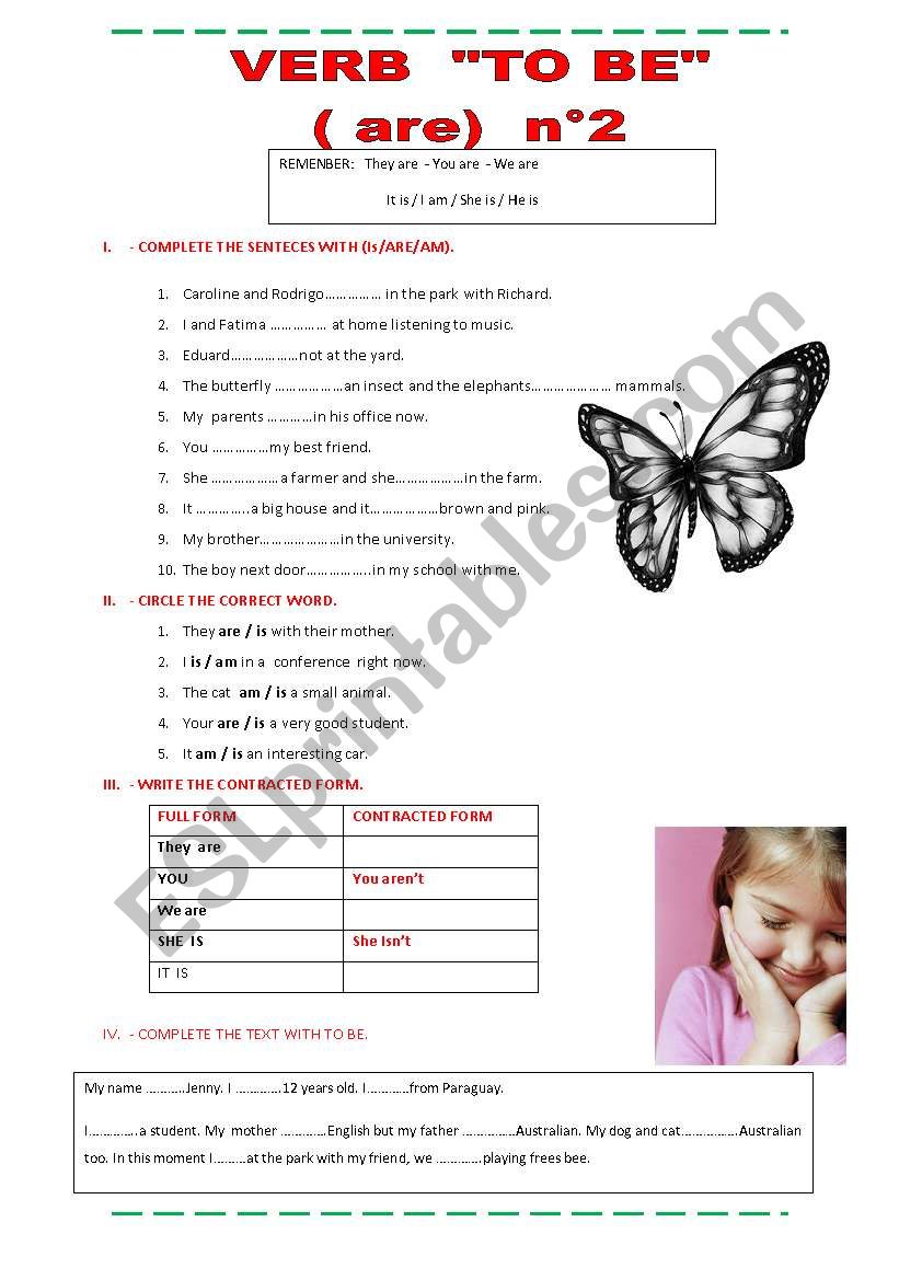 Verb To Be  Plurals   worksheet