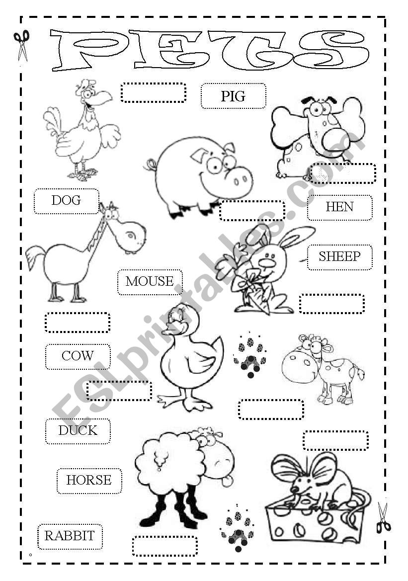How fast can you match up animals? PETS - 2 pages