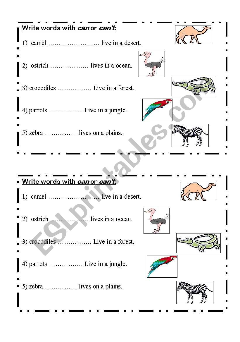 animals home worksheet