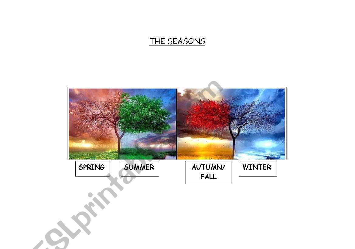 THE SEASONS worksheet