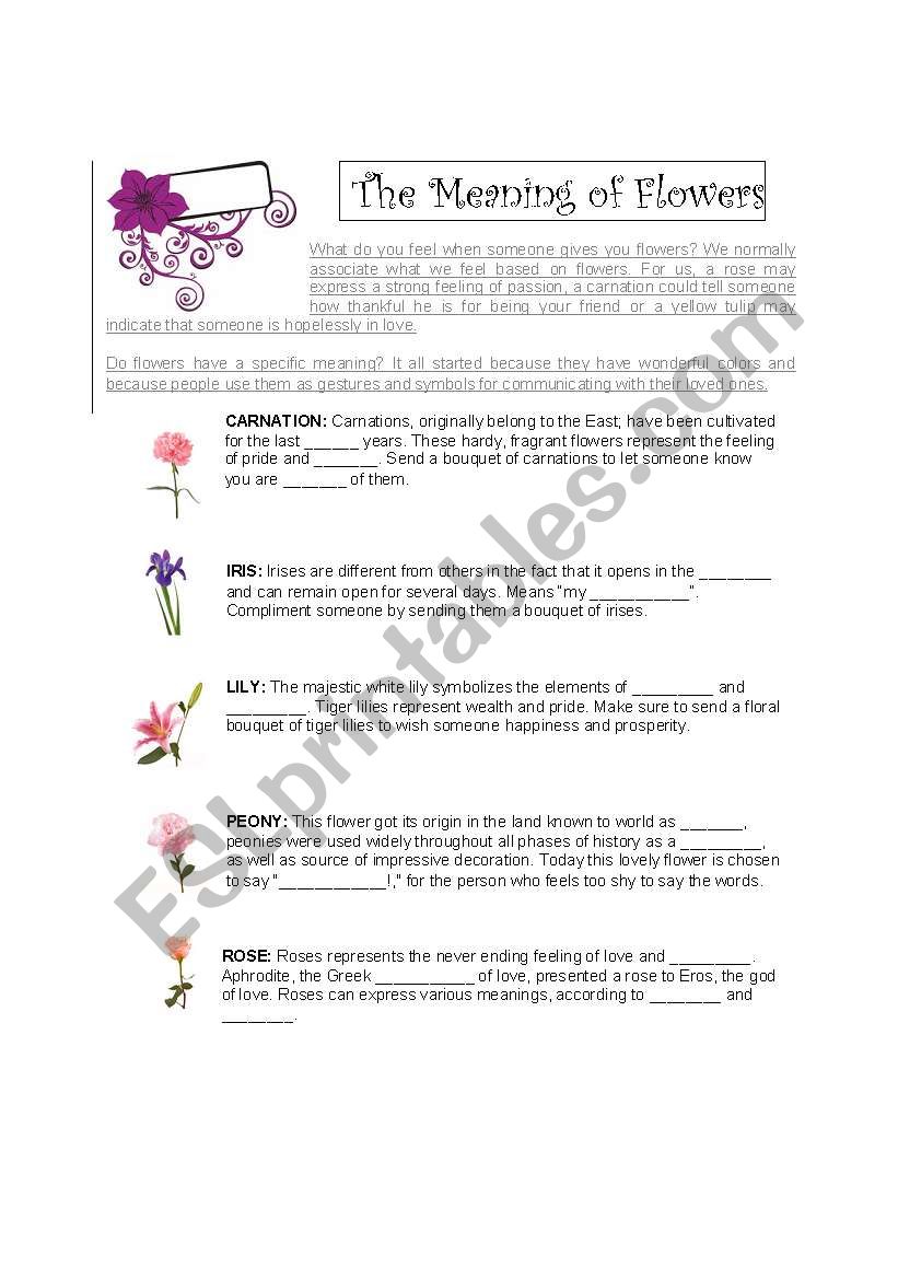 The meaning of flowers worksheet
