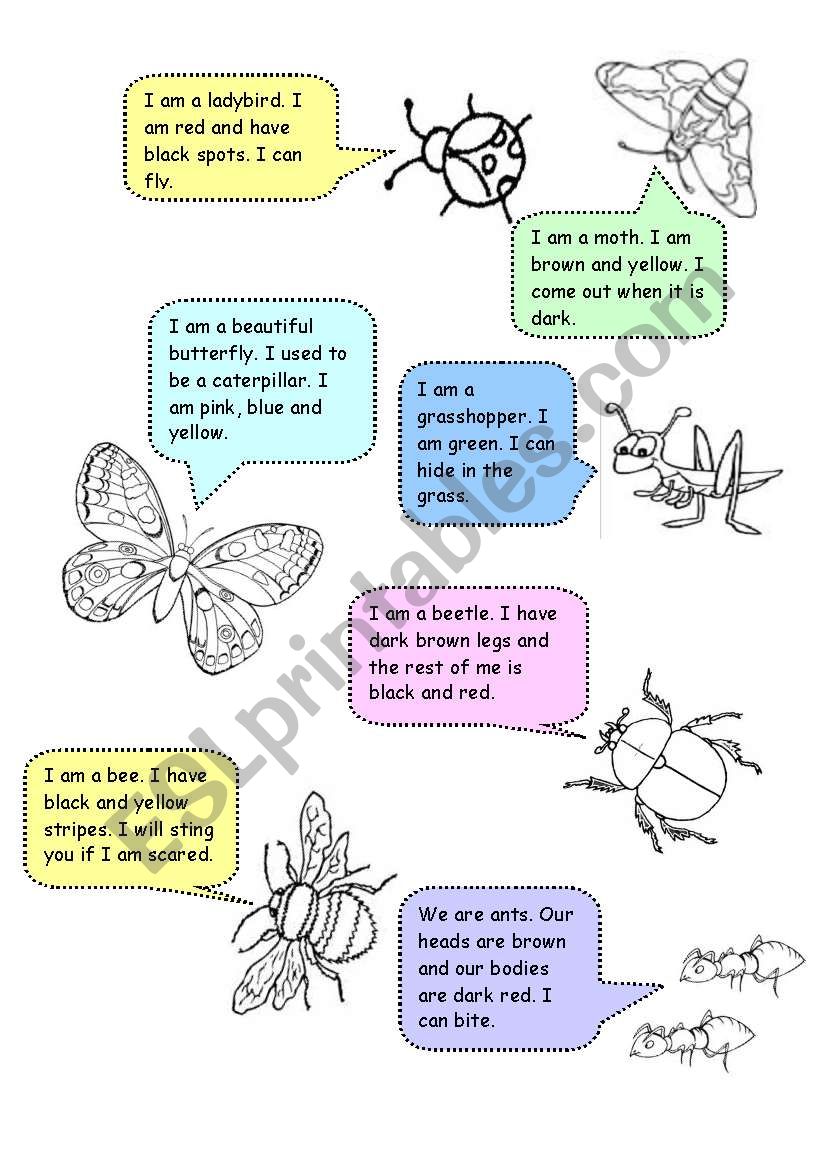 Insects worksheet