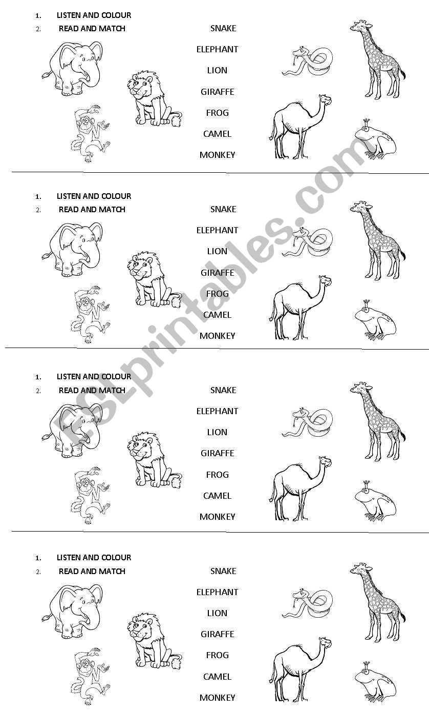 zoo animals worksheet