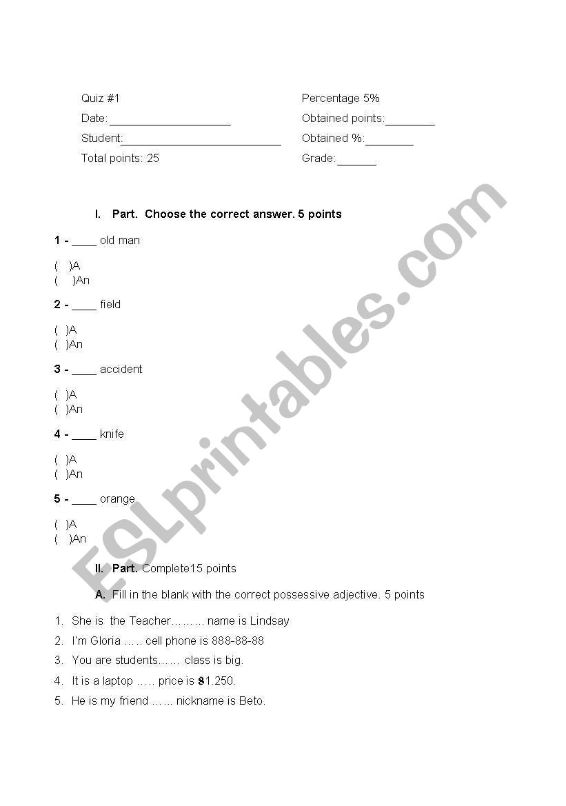 beginners quiz worksheet