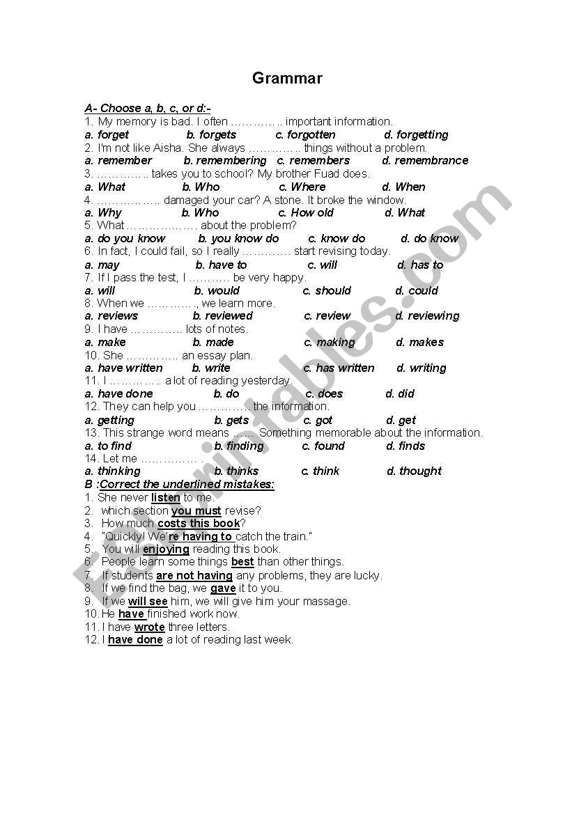 grammar worksheet