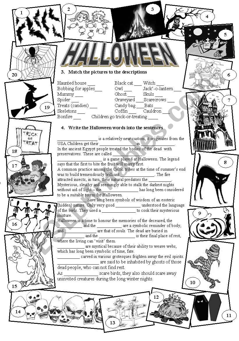 Halloween worksheet