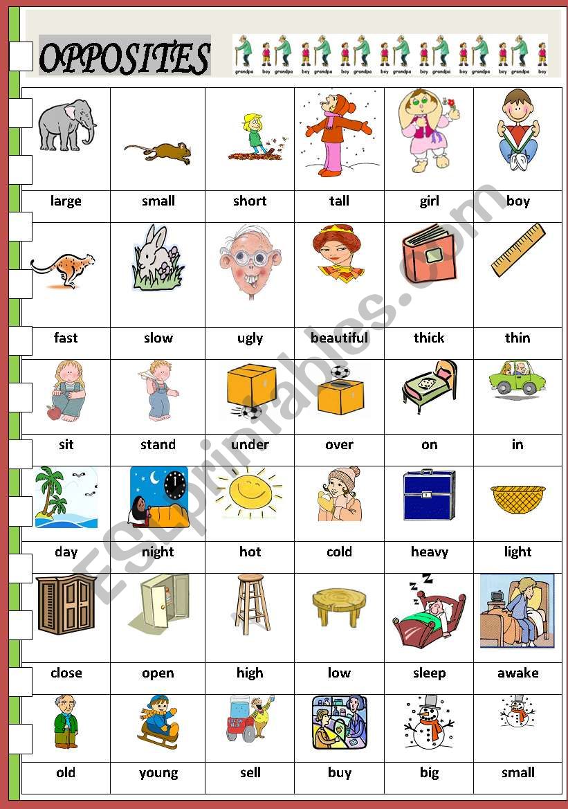 OPPOSITES worksheet