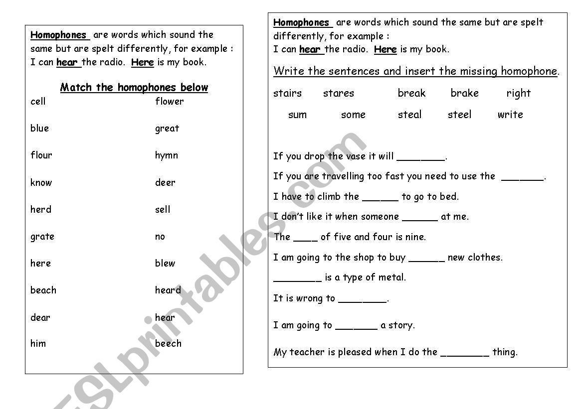 homophones worksheet