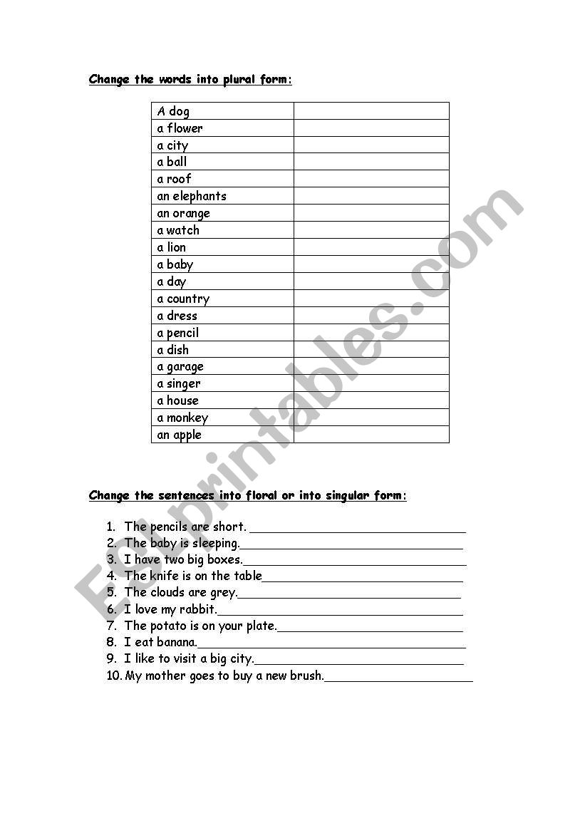 plural &singular worksheet worksheet