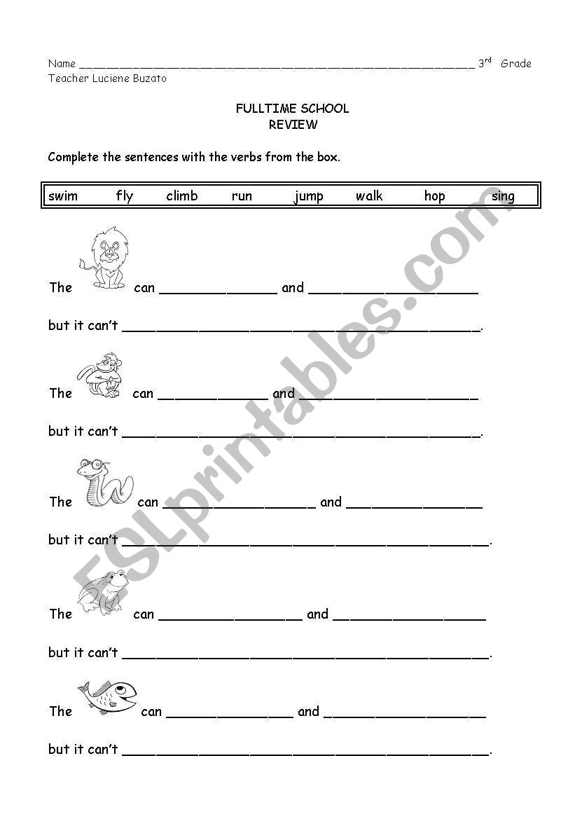 What do animals do? worksheet