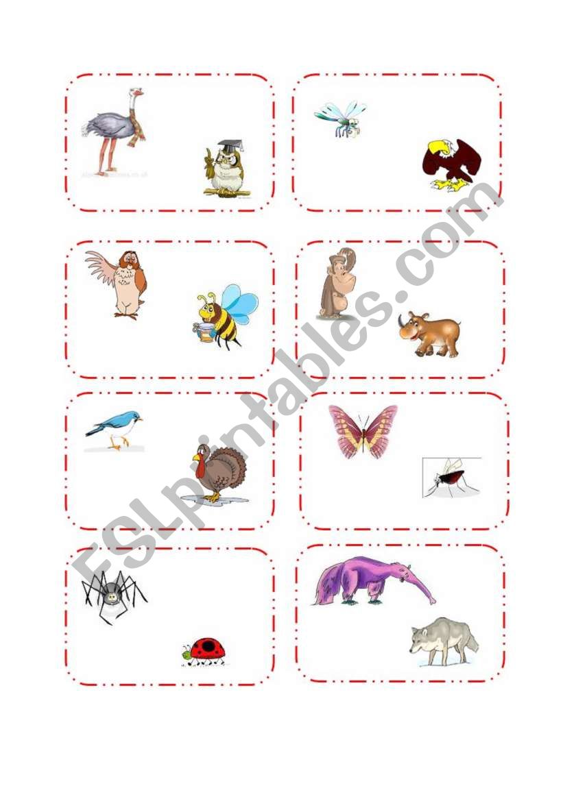 Animals Comparision Cards worksheet