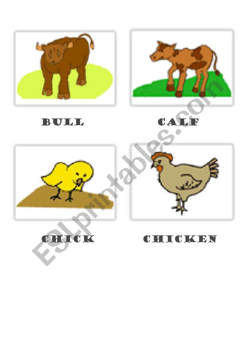 farm animals worksheet