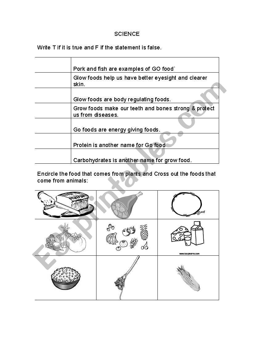 Pre School science worksheet grow glow go foods