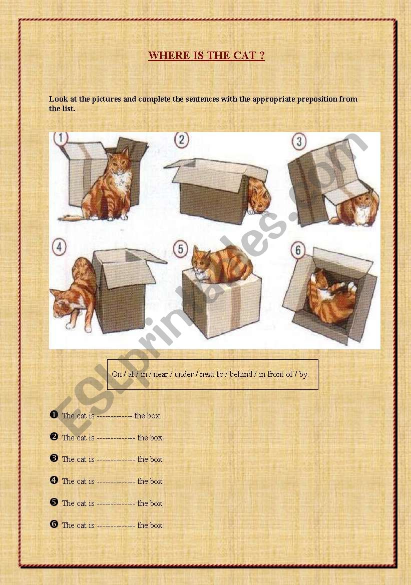 Where is the cat? worksheet