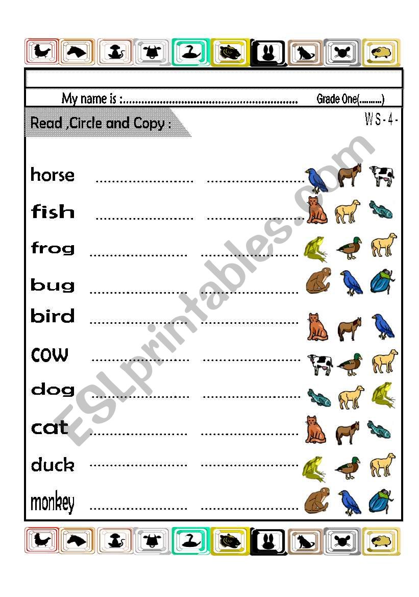 Animals worksheet
