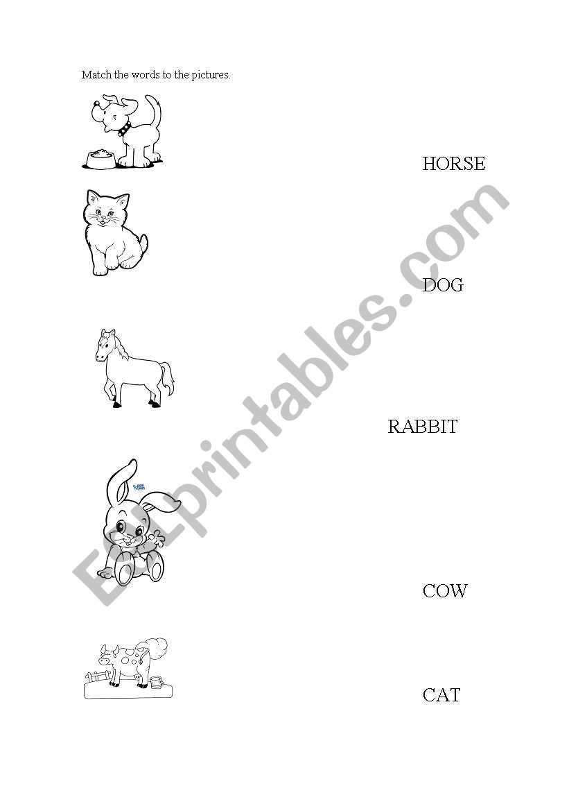 animals worksheet