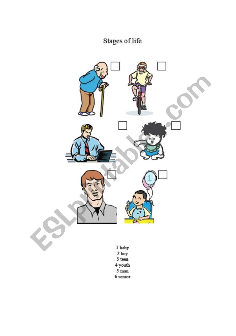 stages of life worksheet