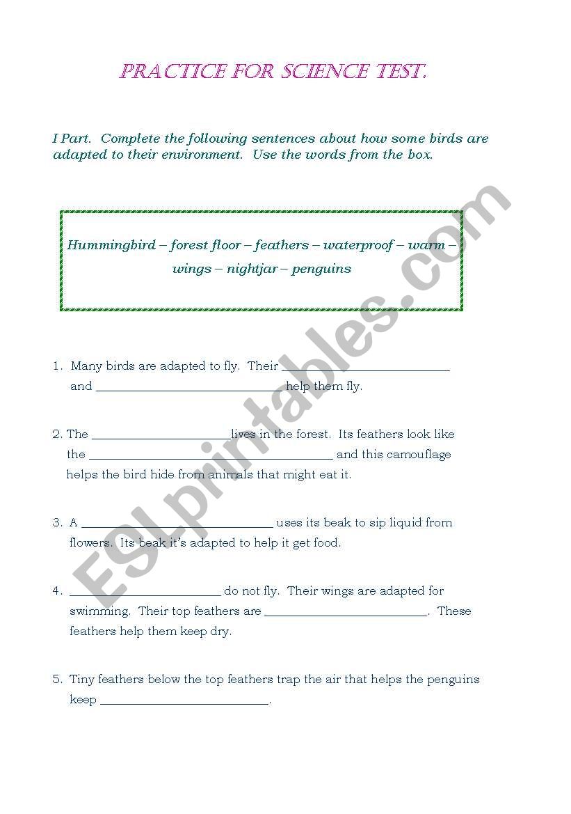 Science worksheet/ Animals adaptation