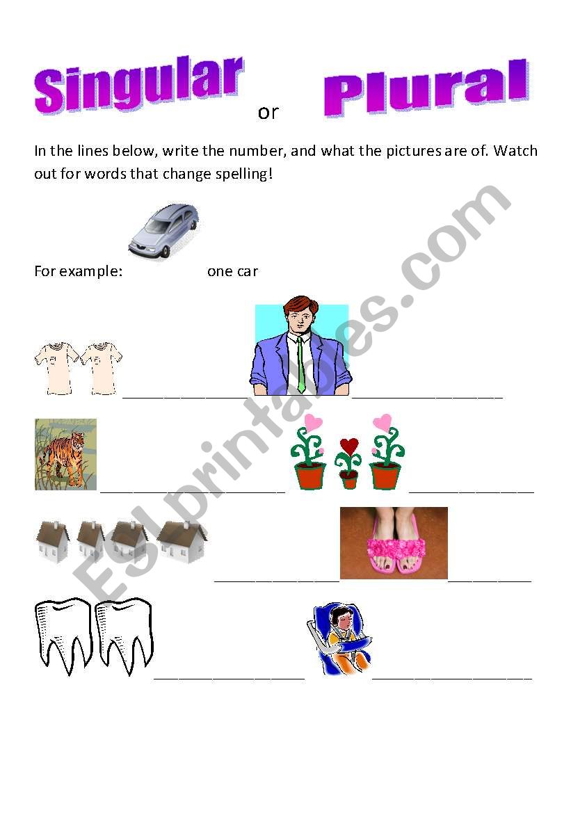 Singular or Plural worksheet