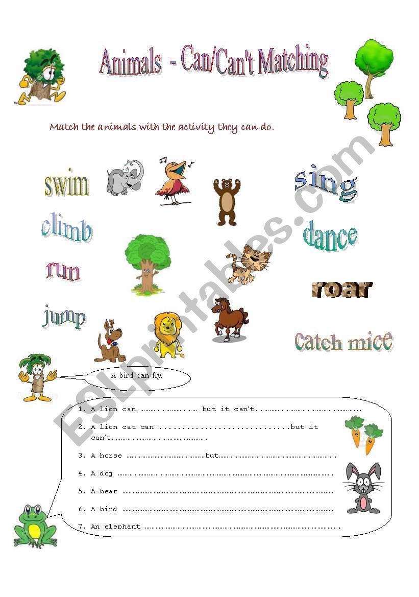 What can a cat do??? worksheet