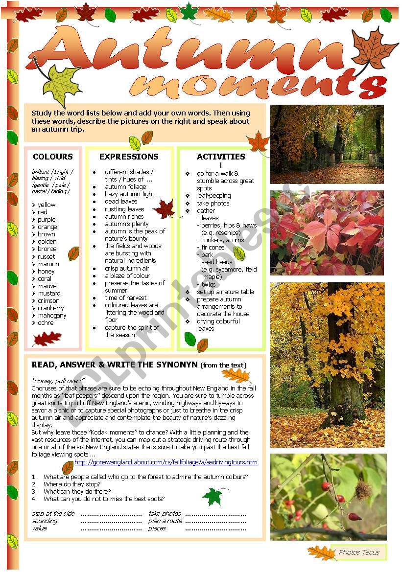 Autumn moments worksheet