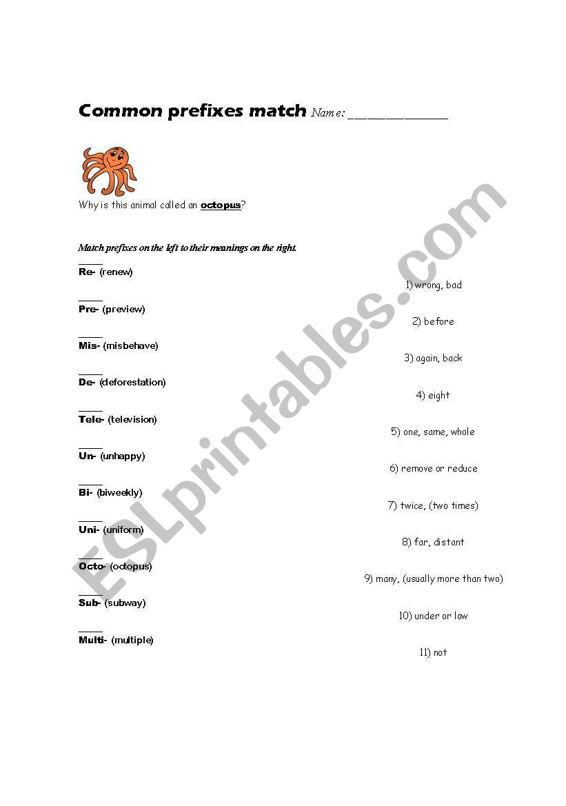 Common Prefixes Match worksheet