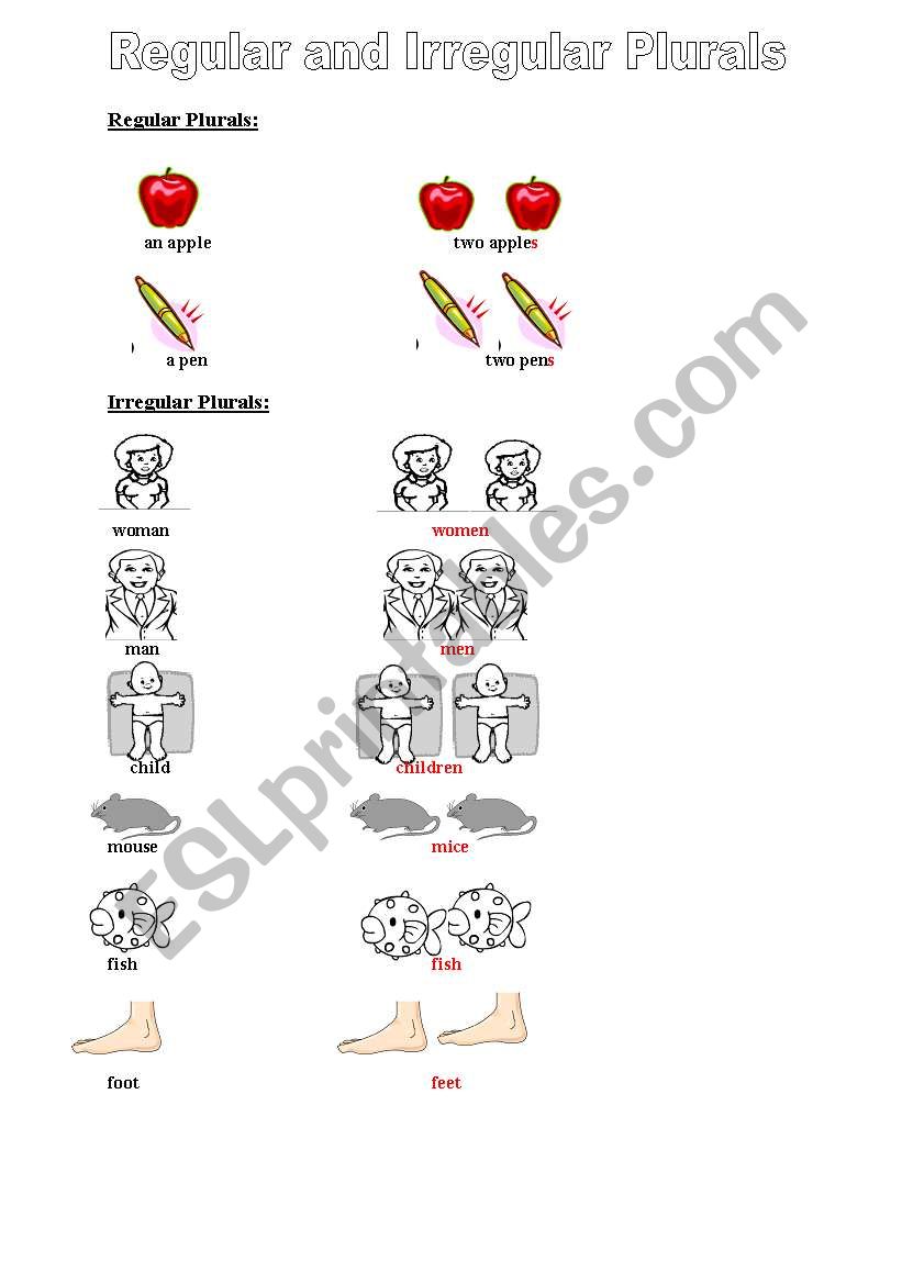 plurals - regular and irregular