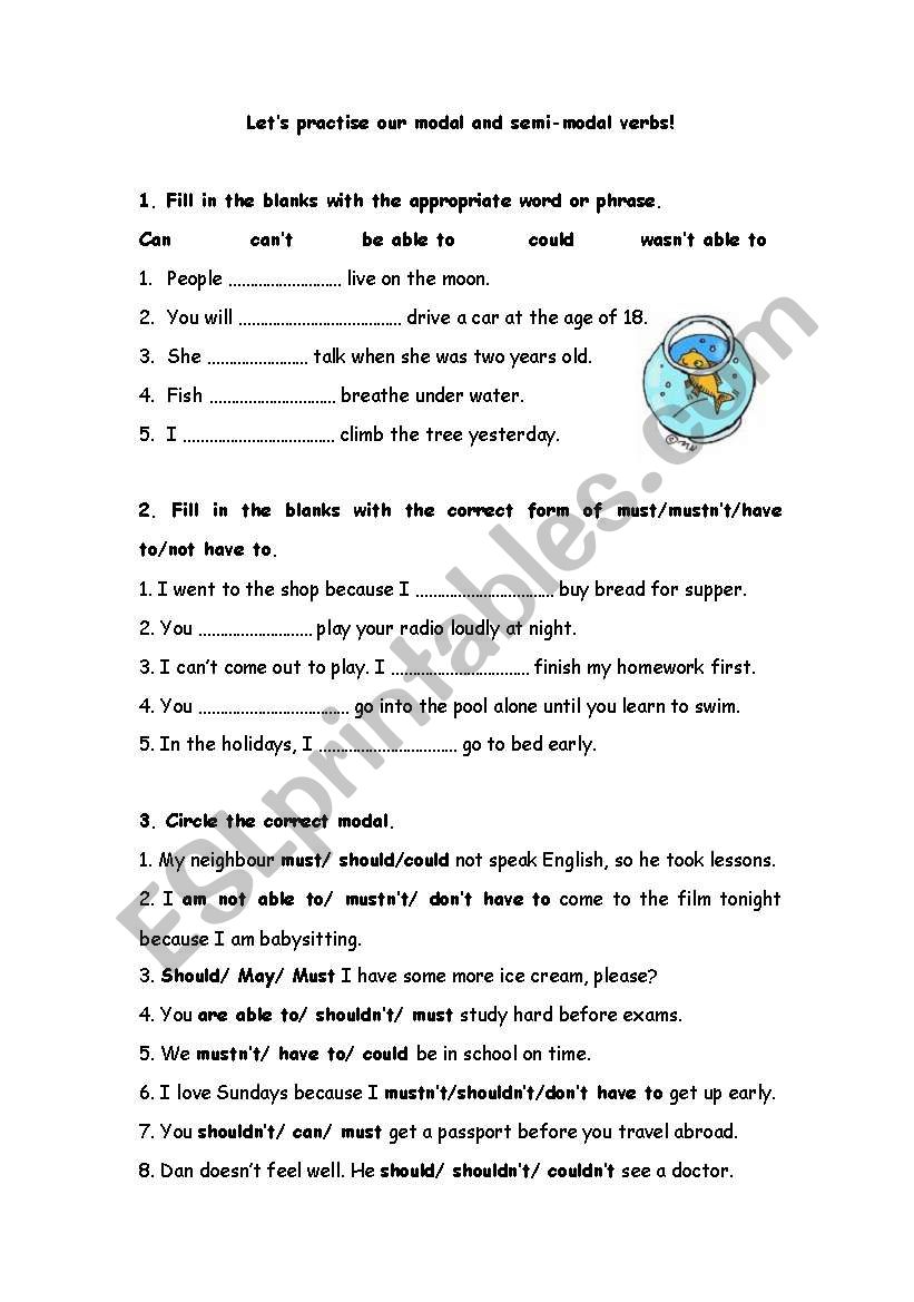 lets practise modals! worksheet