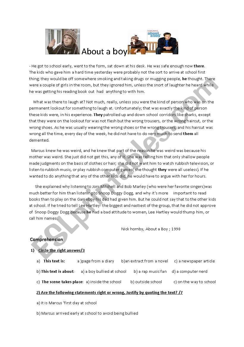 about a boy  worksheet