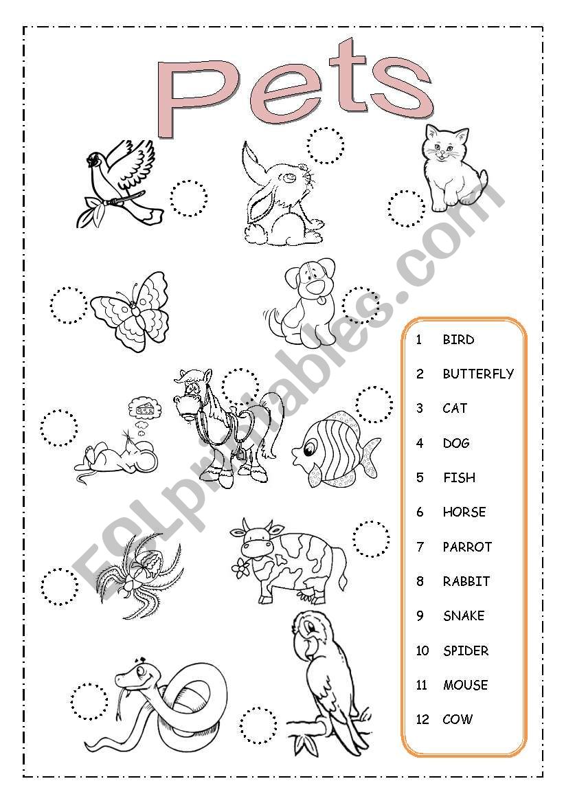 My Pets worksheet