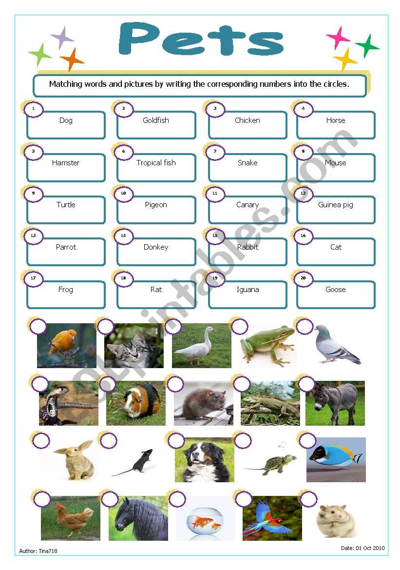 Pets worksheet