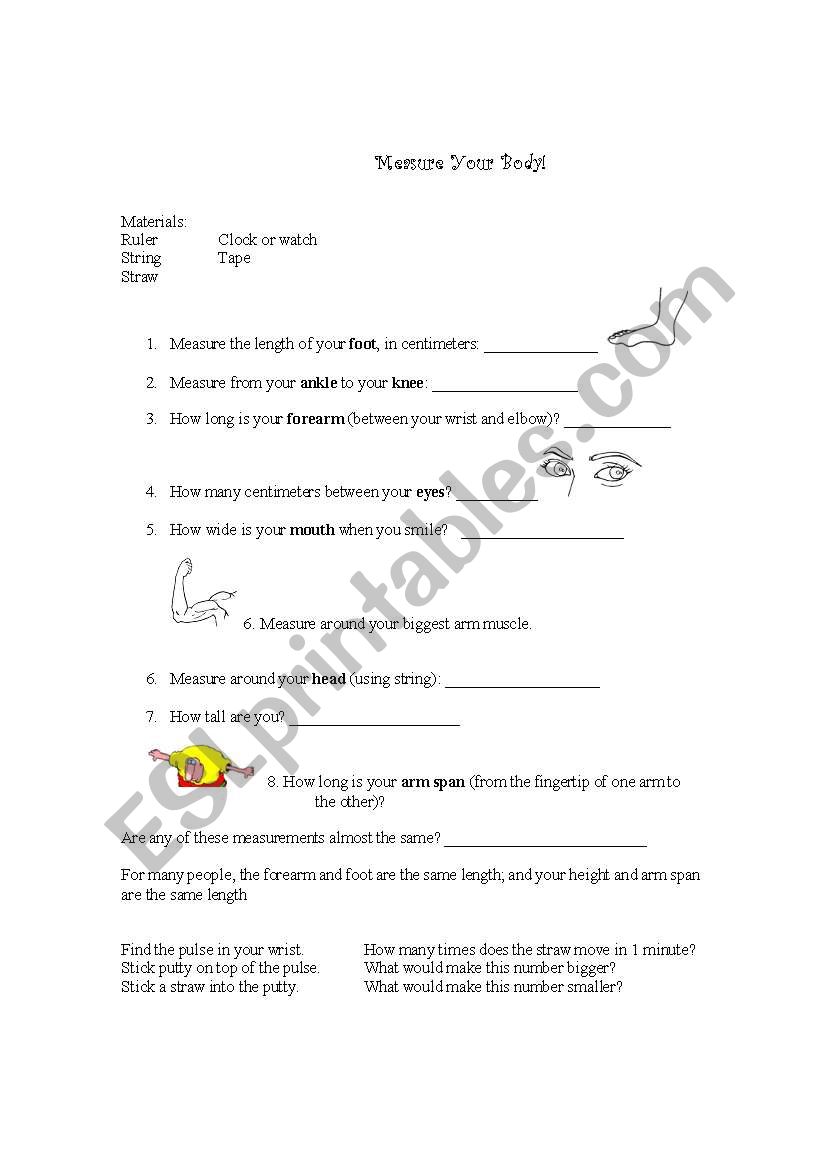 Measuring Your Body worksheet