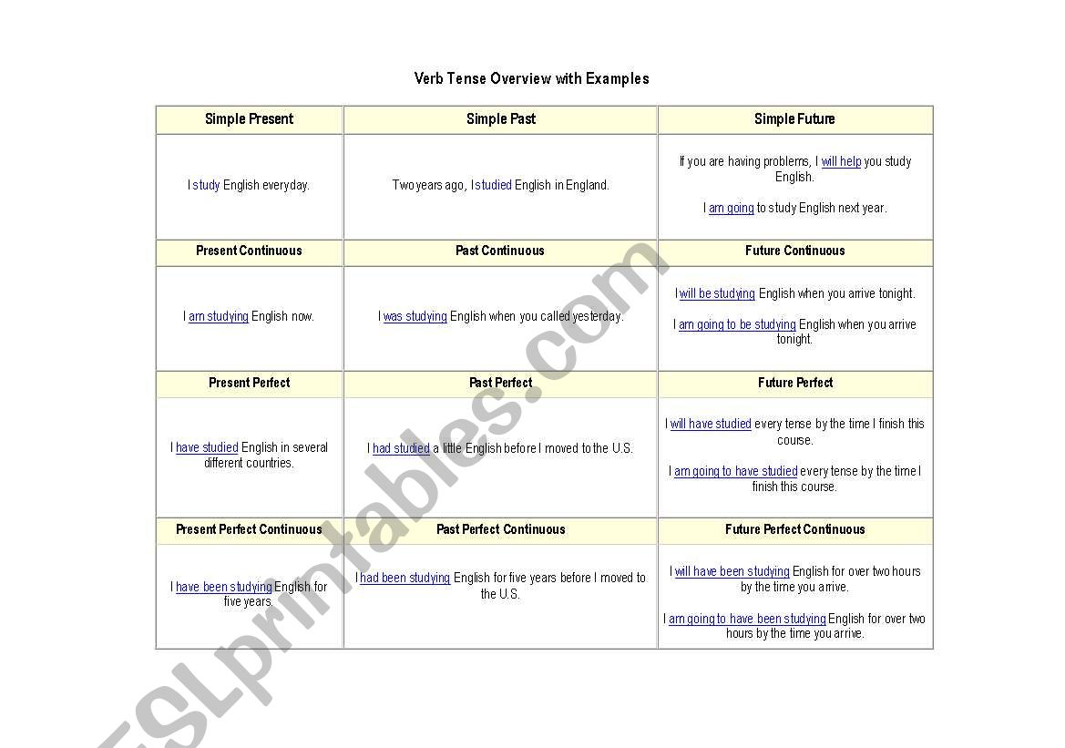 Salim T Vellani worksheet