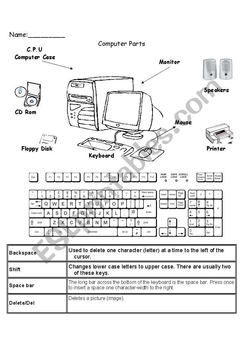 computer education worksheet