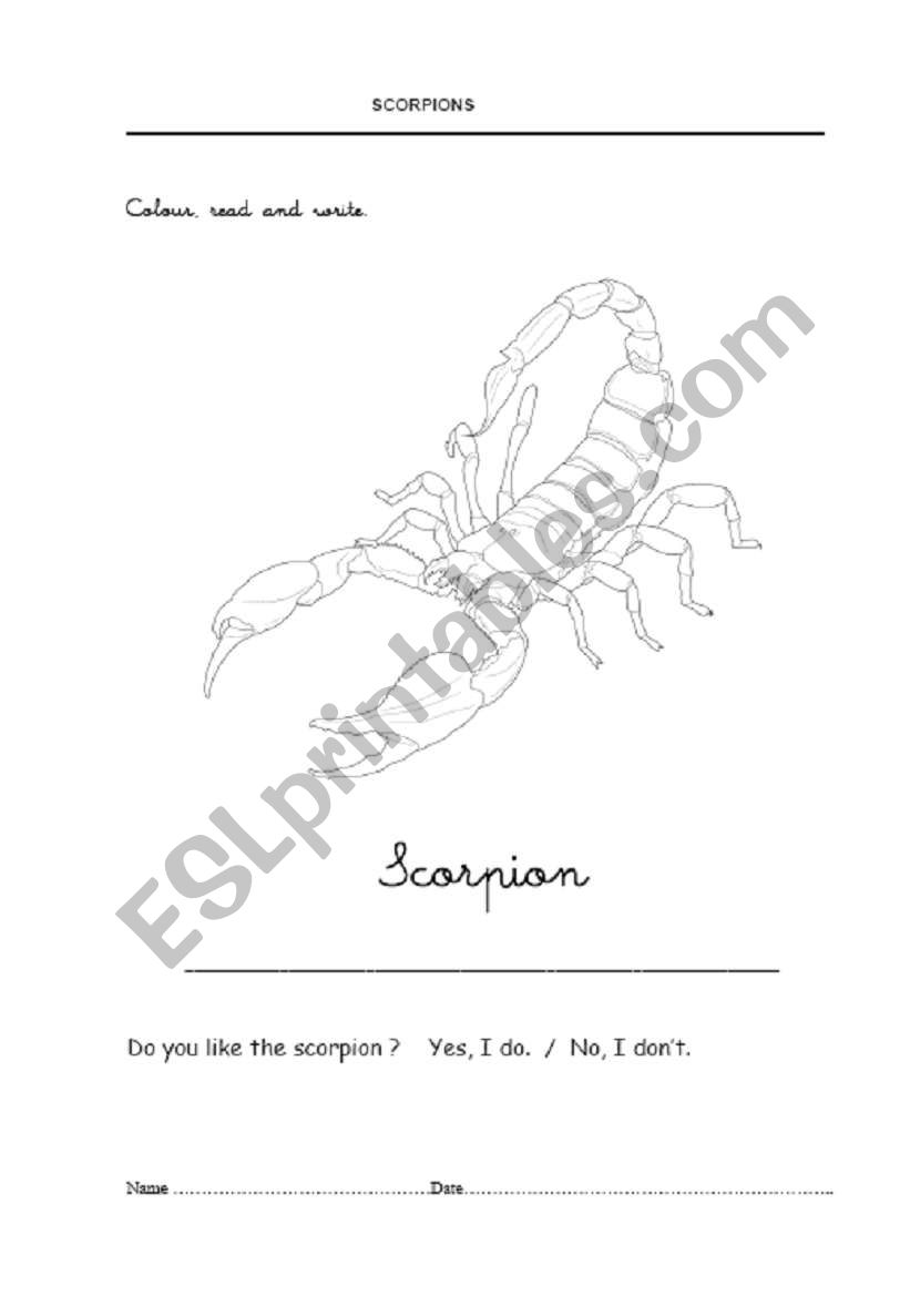 Scorpions 1 worksheet