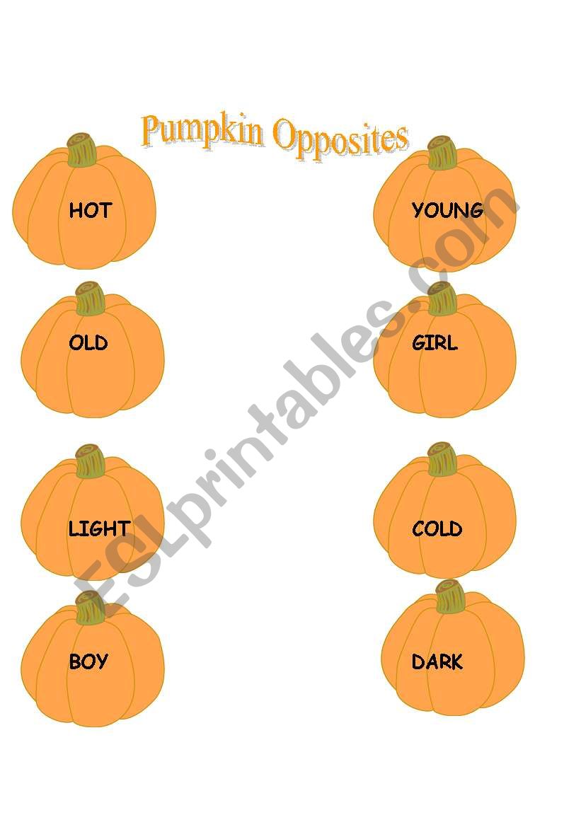 Pumpkin Opposites worksheet